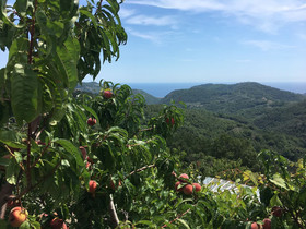 Agriturismo Lavalleggia