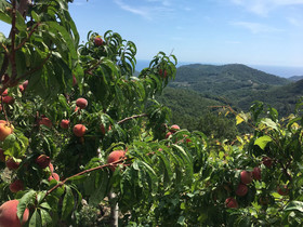 Agriturismo Lavalleggia