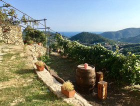 Agriturismo Lavalleggia
