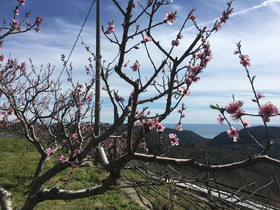 Agriturismo Lavalleggia
