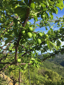 Agriturismo Lavalleggia