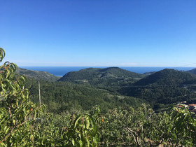 Agriturismo Lavalleggia