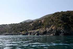Puntabella
