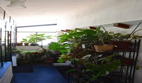 La Terrazza dei Pelargoni B&B