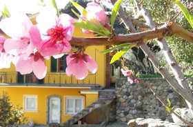 Agriturismo Costa di Campo