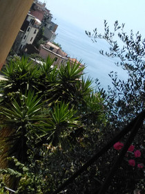 Sole Terra Mare