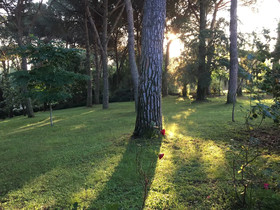 Villa Il Parco