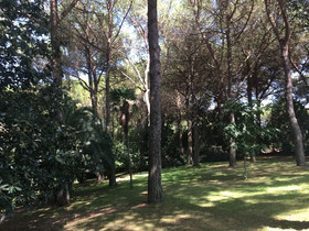 Villa Il Parco