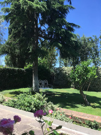 Inn Rome Bed & Breakfast