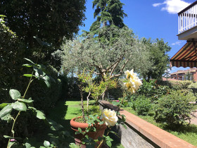 Inn Rome Bed & Breakfast