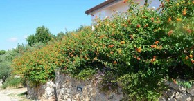 Casa Vacanze La Mannara