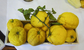 Albergo Ristorante Topolino