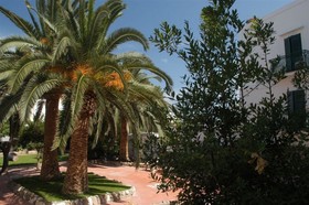 Grand Santa Domitilla