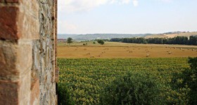 Agriturismo Le Spighe