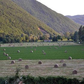 Agriturismo Sant'Erasmo