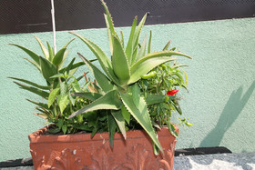 Casa Vacanze Antico Poggio