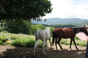 Casa Vacanze Antico Poggio
