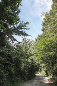 Casa Vacanze Antico Poggio