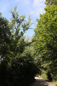 Casa Vacanze Antico Poggio