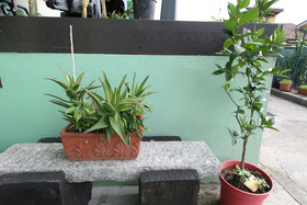 Casa Vacanze Antico Poggio