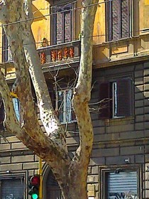 Al138 Town House