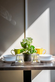 Amoroma Suite
