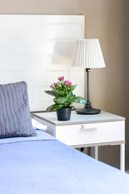 Amoroma Suite
