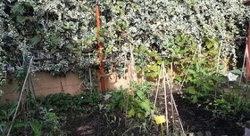 Artea Art Cohousing Artist Residency