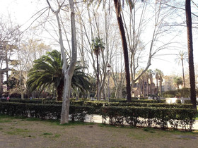 B&B Girasole VIII
