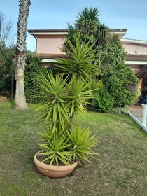 B&B Villa Giovanni