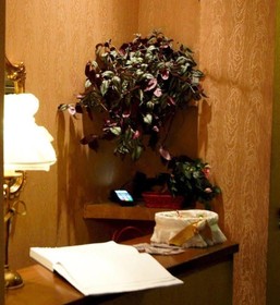 B&B Vatican Holiday Roma