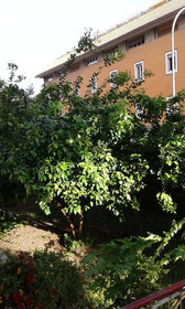Bed & Breakfast Livinghouse