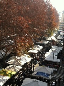 Numa Rome Verso