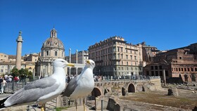Cavour 1&2