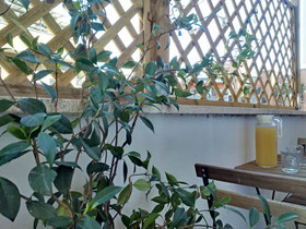 City Rooms