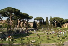 Delle Muse