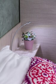 Dharma Boutique Hotel & Spa