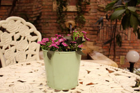 Domus Dea B&B
