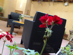 Farnese Suite Dream S&AR