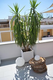 Glamroom Luxury Terrace