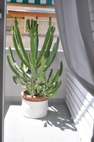 Glamroom Luxury Terrace