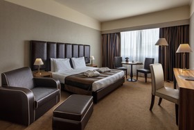 Holiday Inn Rome Eur Parco dei Medici