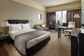 Holiday Inn Rome Eur Parco dei Medici