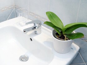 Holiday Rental San Lorenzo District