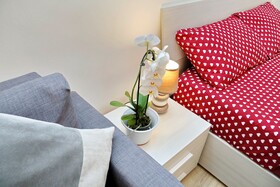 Holiday Rental San Lorenzo District