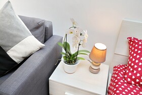 Holiday Rental San Lorenzo District