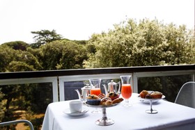 Hotel Albani Roma