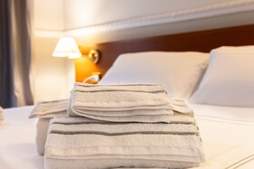 Hotel Domus Rome