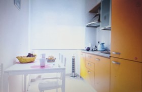 Leonardo's Home