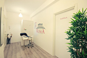 Le Piazze di Roma Bed & Breakfast